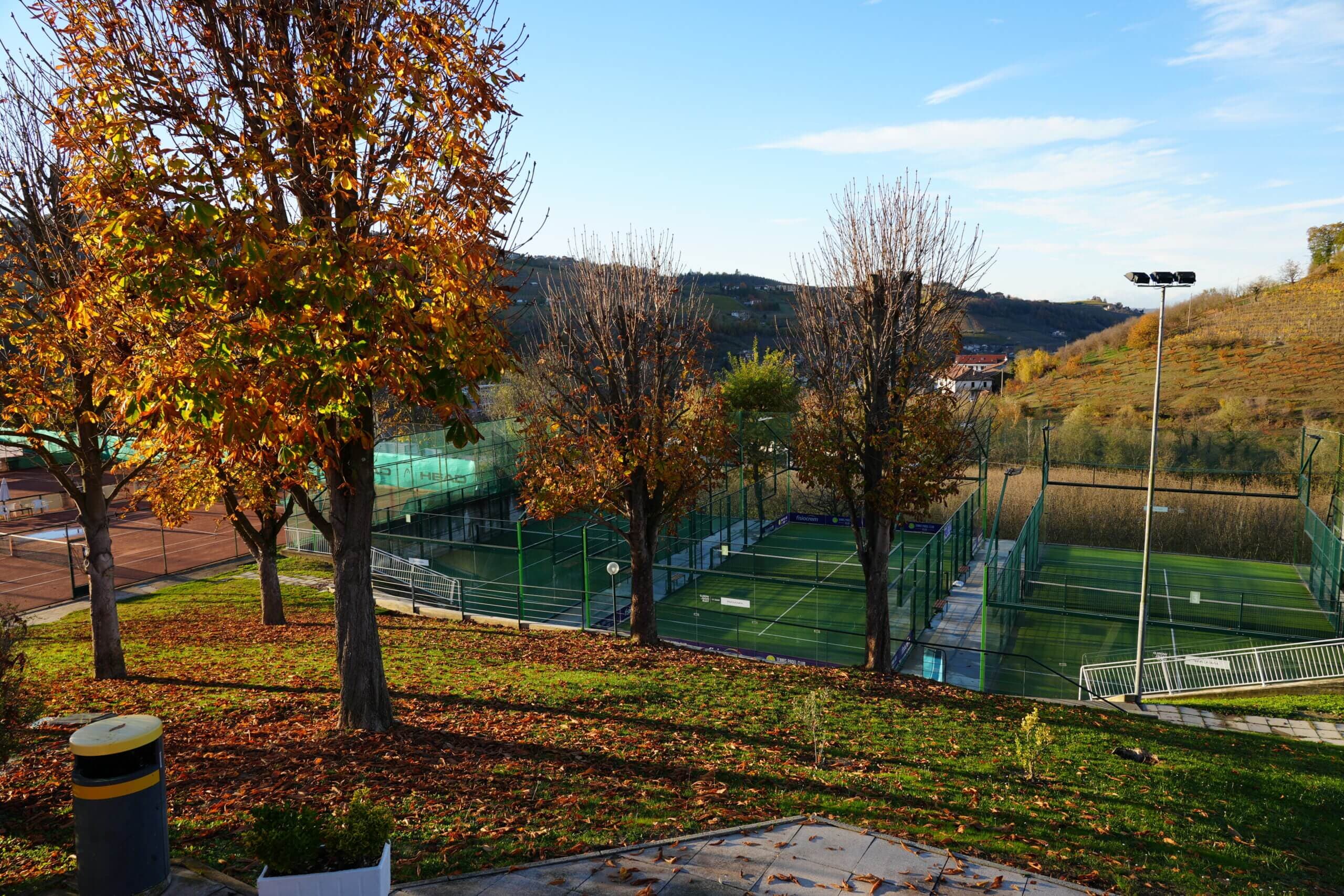 Coppa Davis & Billie Jean King Cup